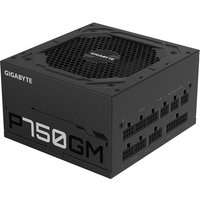Gigabyte Netzteil P750GM 750Watt