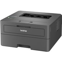 Brother HL-L2400DW sw-Laser