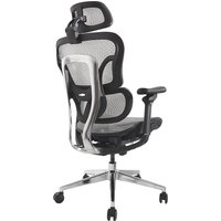 Equip Ergonomischer Bürostuhl+Kopf/Armstützen grau lite Retail