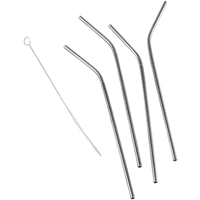 Function Metal Straws - 4 pcs