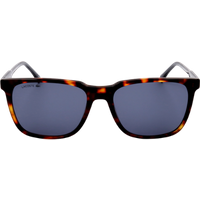 Lacoste L910S Havana Sunglasses