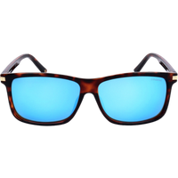 Polaroid PLD2075SX Havana Blue Sunglasses