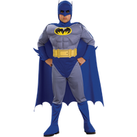 Rubies The Brave And The Bold Batman Costume
