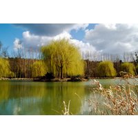 Promotion CampingandCo 79% de réduction au Camping La Rivière Dorée