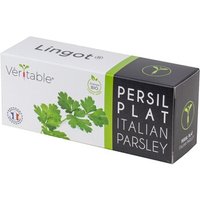 LINGOT PERSIL BIO