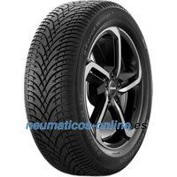 BF Goodrich g-Force Winter 2 ( 205/50 R17 93V XL EV Suitable, con cordón de protección de llanta (FSL) )