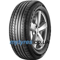 Goodyear Eagle Sport All-Season ( 255/45 R19 104H XL AO, AO1, SCT, with rim protection (MFS) )