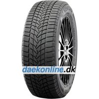 Nankang ICE ACTIVA 2 ( 275/40 R20 106T XL, Nordic compound, med fælgbeskyttelse (MFS) )