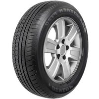 Dunlop Grandtrek PT20 ( 235/60 R18 103H BLK )
