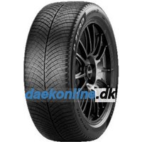 Pirelli P Zero Winter D ( 275/40 R20 106V XL, ND0, med fælgbeskyttelse (MFS) )