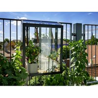 JULIANA Gewächshaus »Urban Balcony«, BxT: 27 x 60 cm, 3 mm Sicherheitsglas – schwarz JULIANA Gewächshaus »Urban Balcony«, BxT: 27 x 60 cm, 3 mm Sicherheitsglas – schwarz