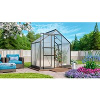 VITAVIA Gewächshaus »Apollo Plus 2500«, BxHxL: 195 x 197 x 131 cm – grau VITAVIA Gewächshaus »Apollo Plus 2500«, BxHxL: 195 x 197 x 131 cm – grau