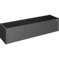 BIOHORT Pflanzbeet »Belvedere MINI«, dunkelgrau-metallic, Metall BIOHORT Pflanzbeet »Belvedere MINI«, dunkelgrau-metallic, Metall