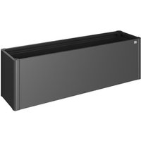 BIOHORT Pflanzbeet »Belvedere MIDI«, dunkelgrau-metallic, Metall BIOHORT Pflanzbeet »Belvedere MIDI«, dunkelgrau-metallic, Metall