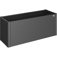 BIOHORT Pflanzbeet »Belvedere MIDI«, dunkelgrau-metallic, Metall BIOHORT Pflanzbeet »Belvedere MIDI«, dunkelgrau-metallic, Metall