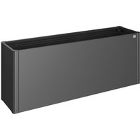 BIOHORT Pflanzbeet »Belvedere MAXI«, dunkelgrau-metallic, Metall BIOHORT Pflanzbeet »Belvedere MAXI«, dunkelgrau-metallic, Metall