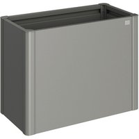 BIOHORT Pflanzbeet »Belvedere MAXI«, quarzgrau-metallic, Metall BIOHORT Pflanzbeet »Belvedere MAXI«, quarzgrau-metallic, Metall