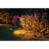 PAULMANN Lichtsysteme, grau, Höhe: 29 cm, dimmbar PAULMANN Lichtsysteme, grau, Höhe: 29 cm, dimmbar