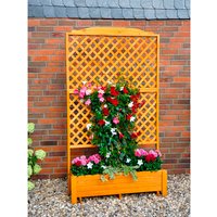 PROMADINO Rankkasten, BxH: 120 x 210 cm, honig, Kiefernholz – braun PROMADINO Rankkasten, BxH: 120 x 210 cm, honig, Kiefernholz – braun