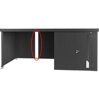 BIOHORT Lichtpaneel, für Gerätehaus Neo, getönt, aus Echtglas – silberfarben BIOHORT Lichtpaneel, für Gerätehaus Neo, getönt, aus Echtglas – silberfarben