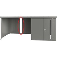 BIOHORT Lichtpaneel, für Gerätehaus Neo, getönt, aus Echtglas – grau BIOHORT Lichtpaneel, für Gerätehaus Neo, getönt, aus Echtglas – grau