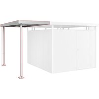 BIOHORT Seitendach »Highline«, BxL: 150 x 275 cm – silberfarben BIOHORT Seitendach »Highline«, BxL: 150 x 275 cm – silberfarben