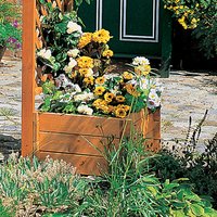 PROMADINO Pflanzkasten, BxH: 52 x 32 cm, honig, Kiefernholz – braun PROMADINO Pflanzkasten, BxH: 52 x 32 cm, honig, Kiefernholz – braun