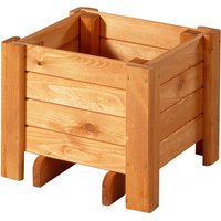 PROMADINO Blumenkasten, BxH: 40 x 34 cm, honig, Kiefernholz – braun PROMADINO Blumenkasten, BxH: 40 x 34 cm, honig, Kiefernholz – braun