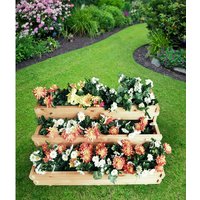 PROMADINO Pflanzkastentreppe, BxH: 100 x 48 cm, honig, Kiefernholz – braun PROMADINO Pflanzkastentreppe, BxH: 100 x 48 cm, honig, Kiefernholz – braun