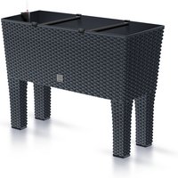 PROSPERPLAST Pflanzkasten »Rato«, BxHxL: 330 x 620 x 800 mm, UV-beständig – grau PROSPERPLAST Pflanzkasten »Rato«, BxHxL: 330 x 620 x 800 mm, UV-beständig – grau