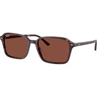 レイバン Ray-Ban RB2231 Raimond 1416C5 メガネ フレーム - 男性用 - Purple