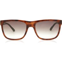 カルバンクライン Calvin CK21531S 220 メガネ フレーム - 男性用 - べっ甲shell