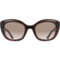 Guess GU00196 52F メガネ フレーム - 女性用 - べっ甲shell