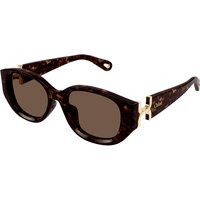 Chloé CH0237SK アジアフィット 002 メガネ フレーム - 女性用 - べっ甲shell