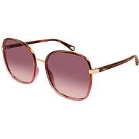 Chloé CH0031S 016 メガネ フレーム - 女性用 - べっ甲shell