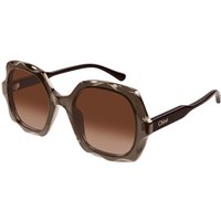 Chloé CH0226S 007 メガネ フレーム - 女性用 - 茶色
