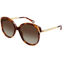 Chloé CH0285S 002 メガネ フレーム - 女性用 - べっ甲shell