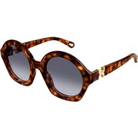 Chloé CH0302S 002 メガネ フレーム - 女性用 - べっ甲shell