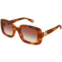 Chloé CH0333S 003 メガネ フレーム - 女性用 - べっ甲shell