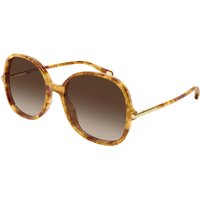Chloé CH0383S 002 メガネ フレーム - 女性用 - べっ甲shell