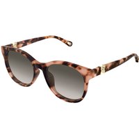 Chloé CH0375SK アジアフィット 002 メガネ フレーム - 女性用 - べっ甲shell