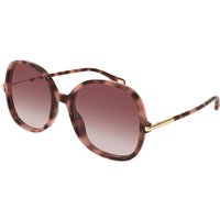 Chloé CH0383S 004 メガネ フレーム - 女性用 - べっ甲shell