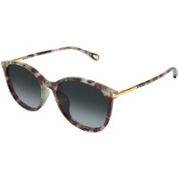 Chloé CH0397SK Asian Fit 004 Women’s Sunglasses Tortoiseshell Size 56