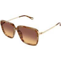 Chloé CH0405S 004 Women’s Sunglasses Tortoiseshell Size 59