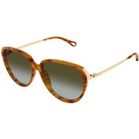 Chloé CH0406S 003 Women’s Sunglasses Tortoiseshell Size 59