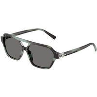 ティファニー&カンパニー。 ティファニー Tiffany TF4264U Polarized 844381 メガネ フレーム - 男性用 - 青