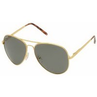 Polar 664 Polarized 2 メガネ フレーム - 男性用 - 金色