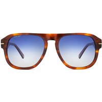 Polar Gold 197 Polarized 429/Q Women’s Sunglasses Tortoiseshell Size 57