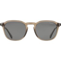 ポラロイド Polaroid PLD 4203/S/X Polarized 09Q/M9 メガネ フレーム - 男性用 - 茶色