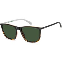 ポラロイド Polaroid PLD 4210/S/X Polarized WR7/UC メガネ フレーム - 男性用 - べっ甲shell